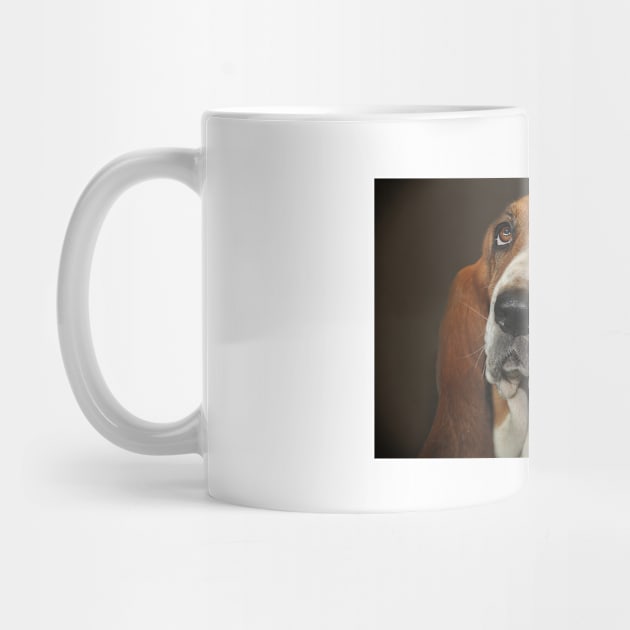 Basset Hound by kawaii_shop